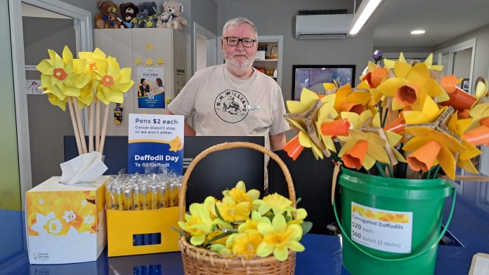 TC24daffodils