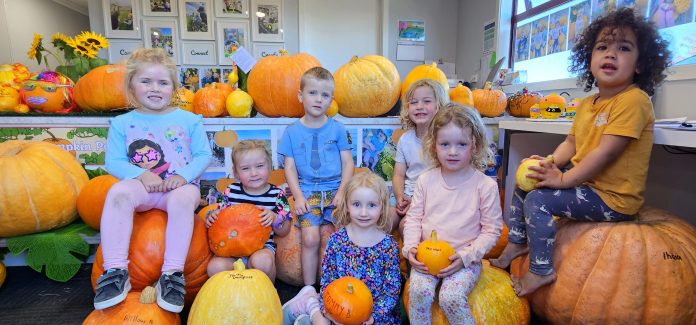 tc10pumpkin1