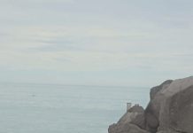 Home found a world away