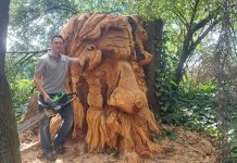 Chainsaw artist’s new work a man of the woods
