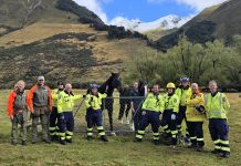 Rangers save horse’s life with angle grinder