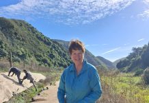 Native plants wanted for Waimate Trail